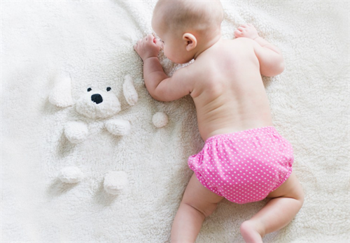 探索婴儿配方奶粉市场：哪款品牌更值得信赖？